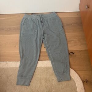 Gray Cozy Jogger Pants Puter Known